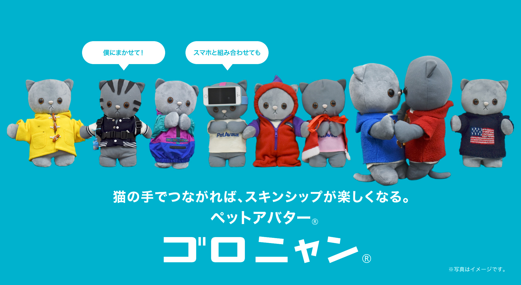 ペットアバター・ゴロニャン